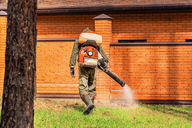 Top rated local Mosquito Control specialists in Mayville, WI